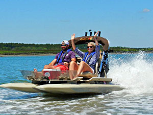 Water sports / Dolphin Tours