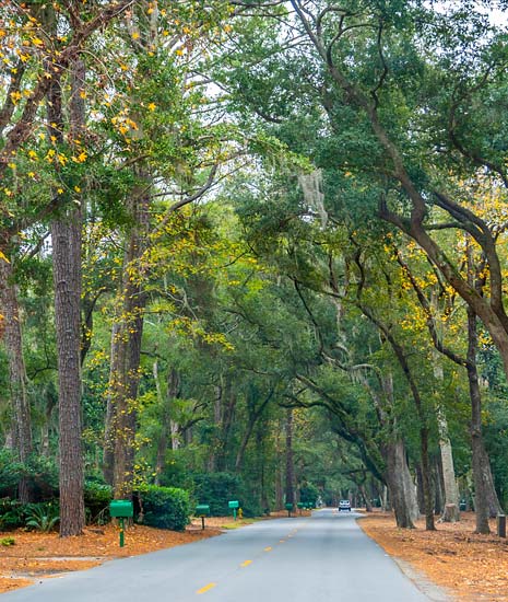 Hilton Head Island Gallery